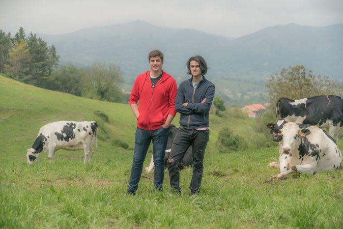 Felipe Gomez Y Manuel Osoro Primos Ganaderia Tezanillos