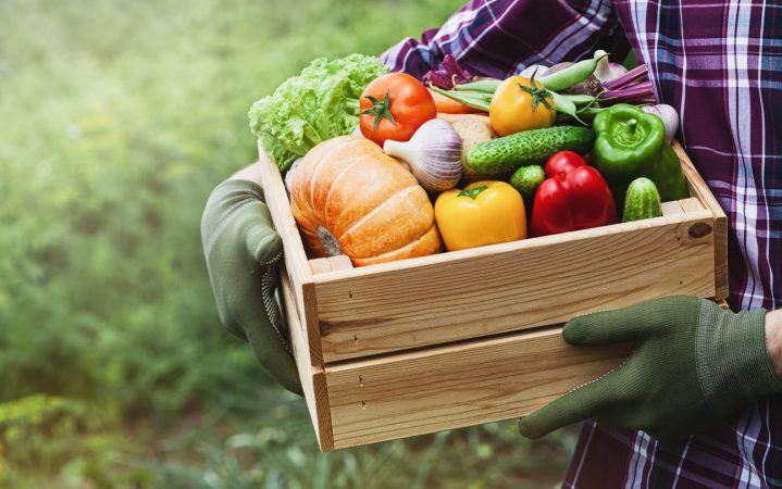 Manzanas: Un alimento cargado 