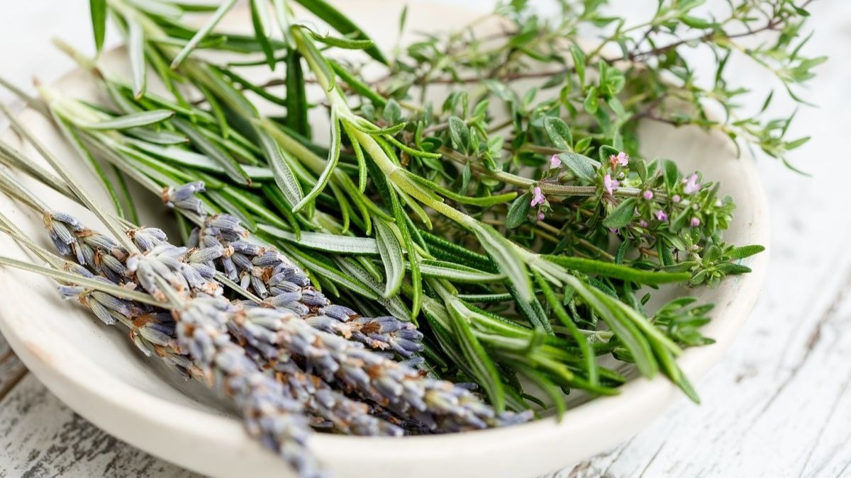 Cómo mejorar tu piel y tu cabello con el aceite de romero