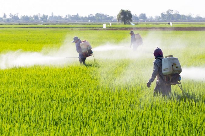 Un alimento con grandes cantidades de pesticidas