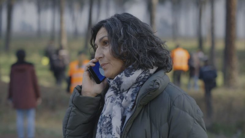desaparecidos