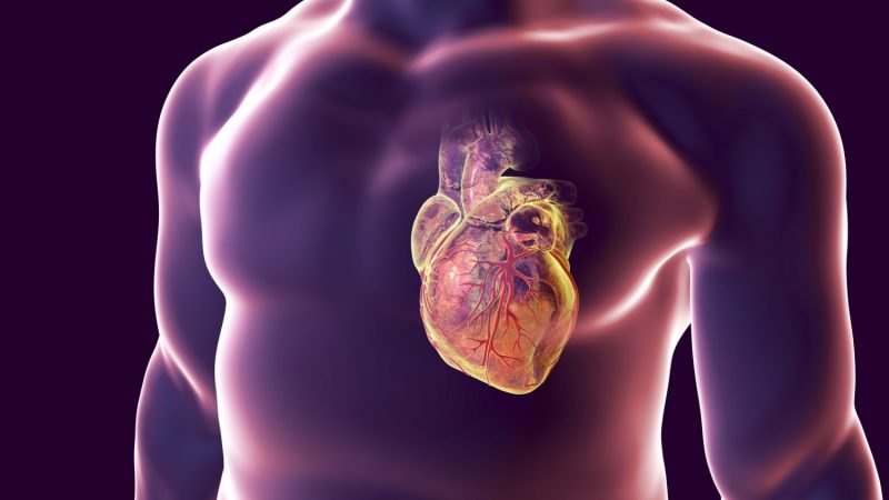 corazón infarto Merca2.es