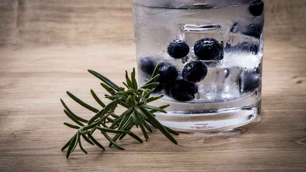 ginebra
