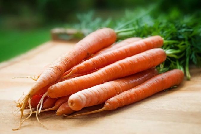 verduras zanahoria