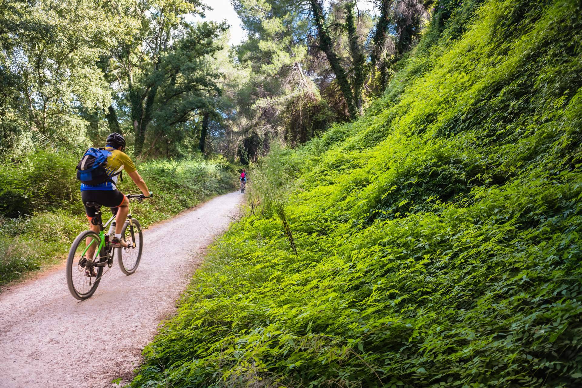 Alquiler de bicis de gama alta, de la mano de Bikefeelings