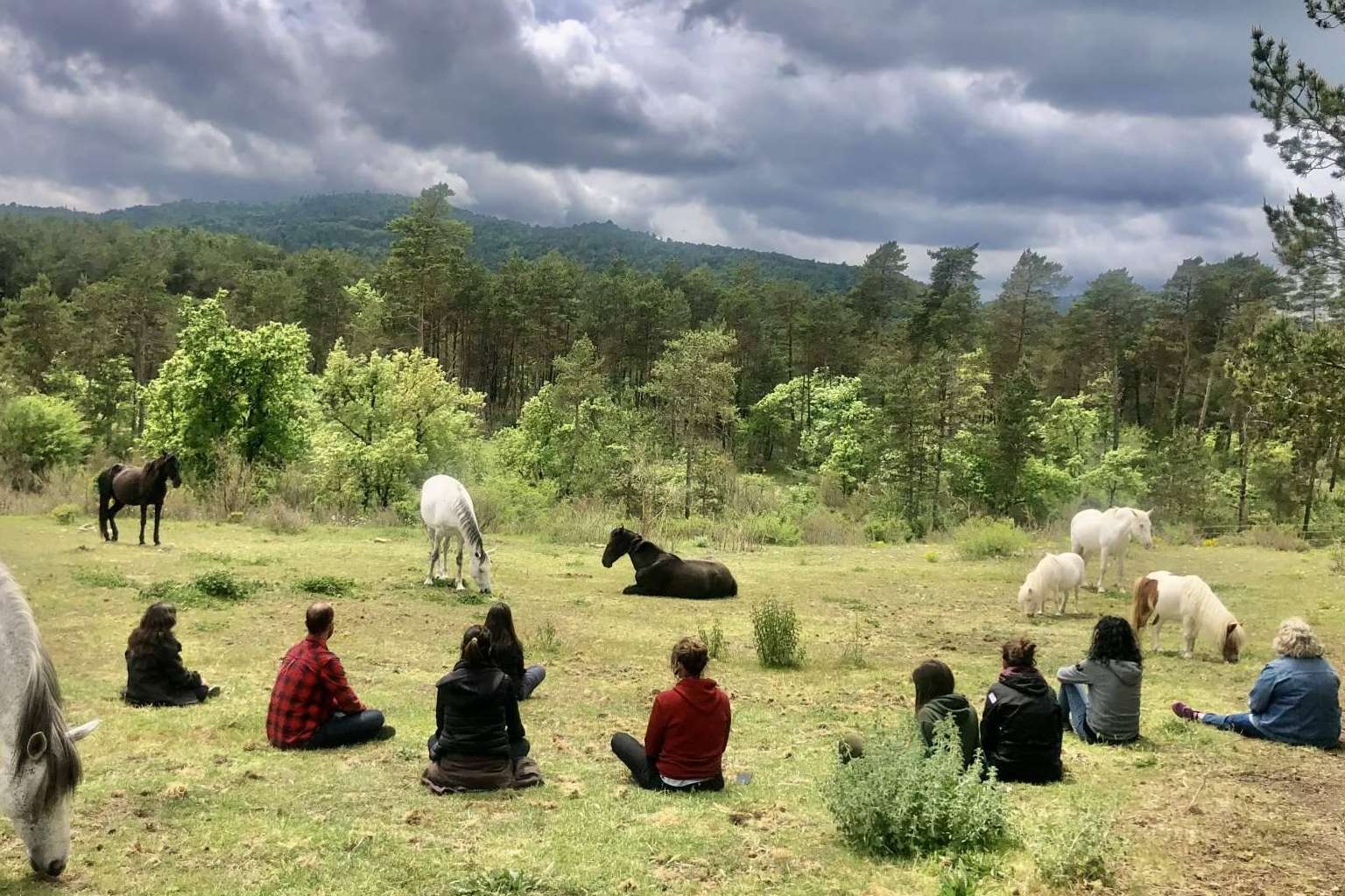 Aura, una escuela de formación focalizada en acompañamiento asistido con caballos en libertad