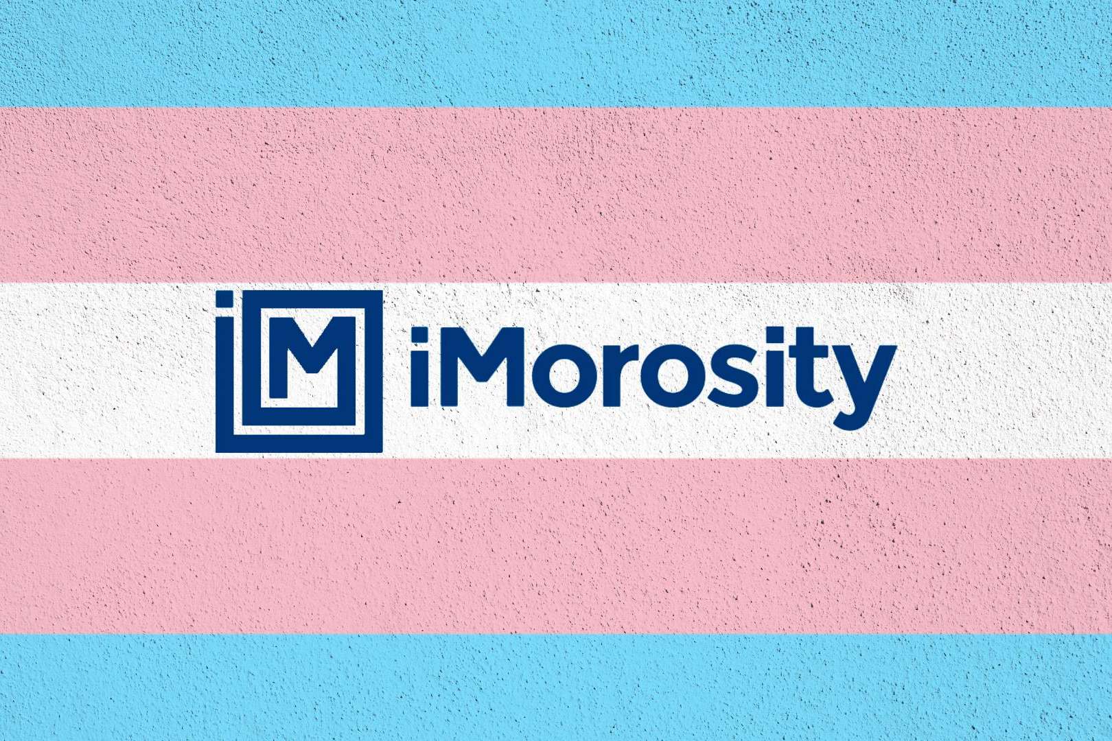 iMorosity apuesta por la diversidad y se suma a la Asociación Home of Trans como colaborador