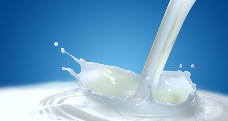 Mejor leche marca blanca OCU Mercadona