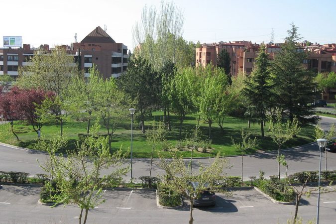 pzuelo Merca2.es