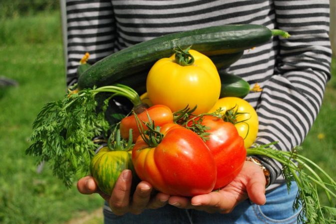 Fresas: el alimento con más pesticidas