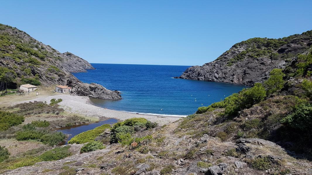 Cuáles son las de Catalunya