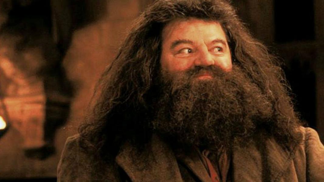 Robbie Coltrane