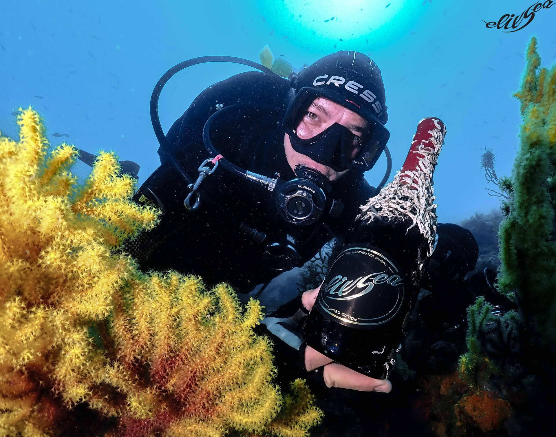 ElixSea y su innovador proyecto sobre el encanto único del vino submarino