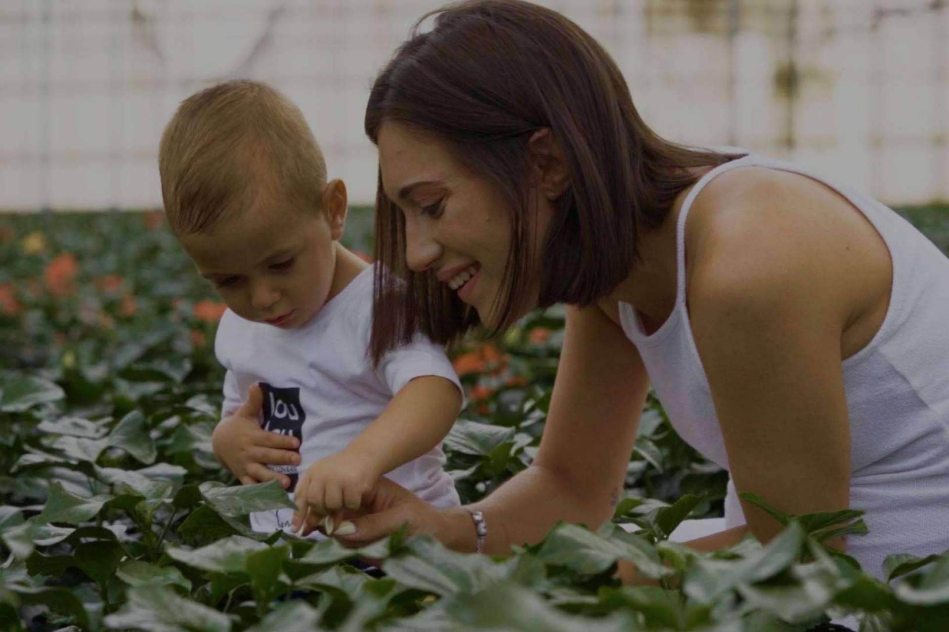 Rachel & Co, el espacio donde encontrar un amplio catálogo de plantas ornamentales