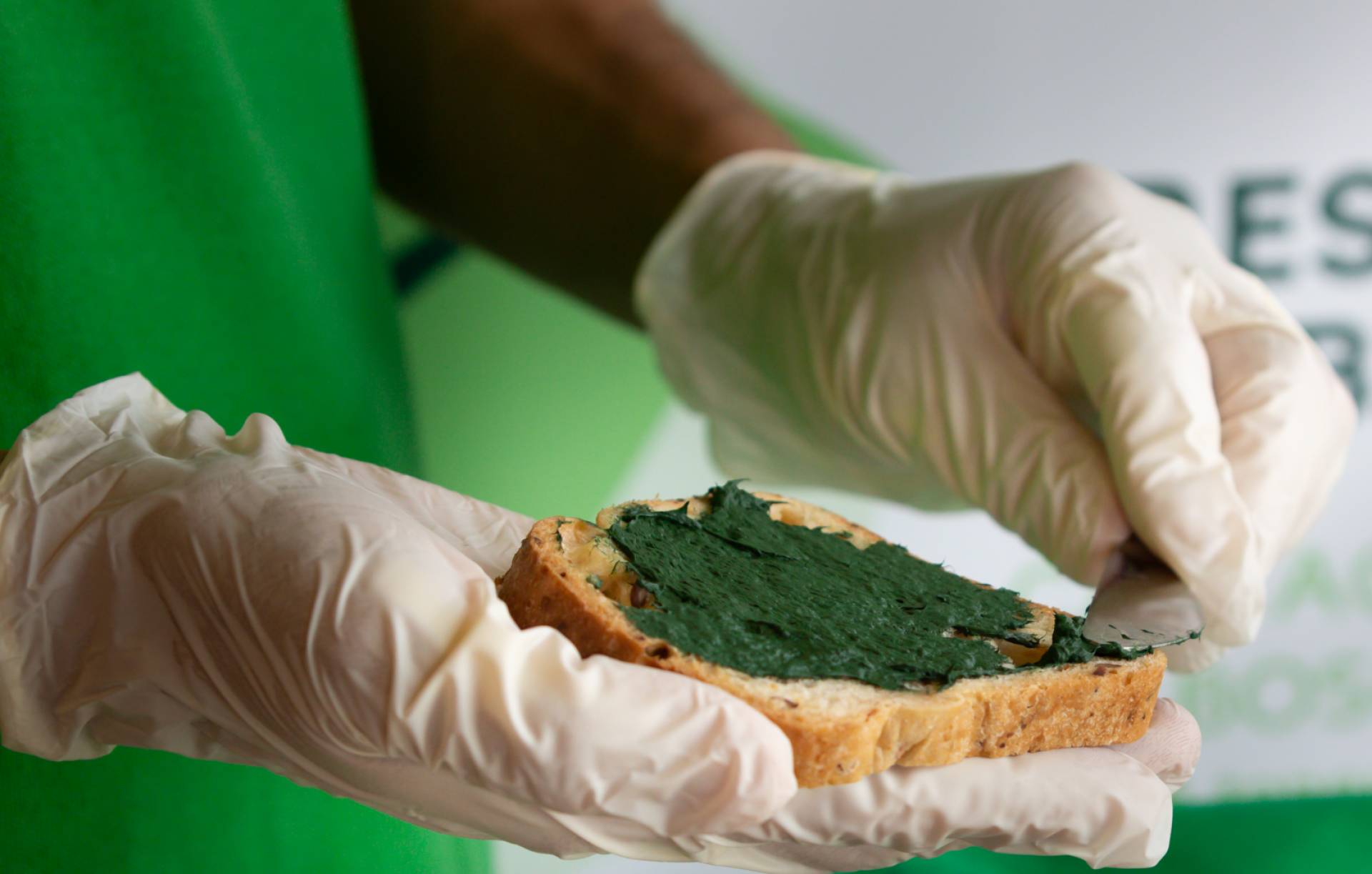 Venta de alga espirulina artesanal de alta calidad en la empresa Organa Espirulina