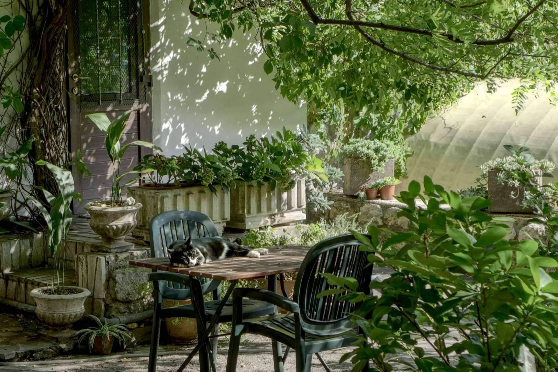 ¿Cuáles son las últimas tendencias para decorar el jardín o la terraza?