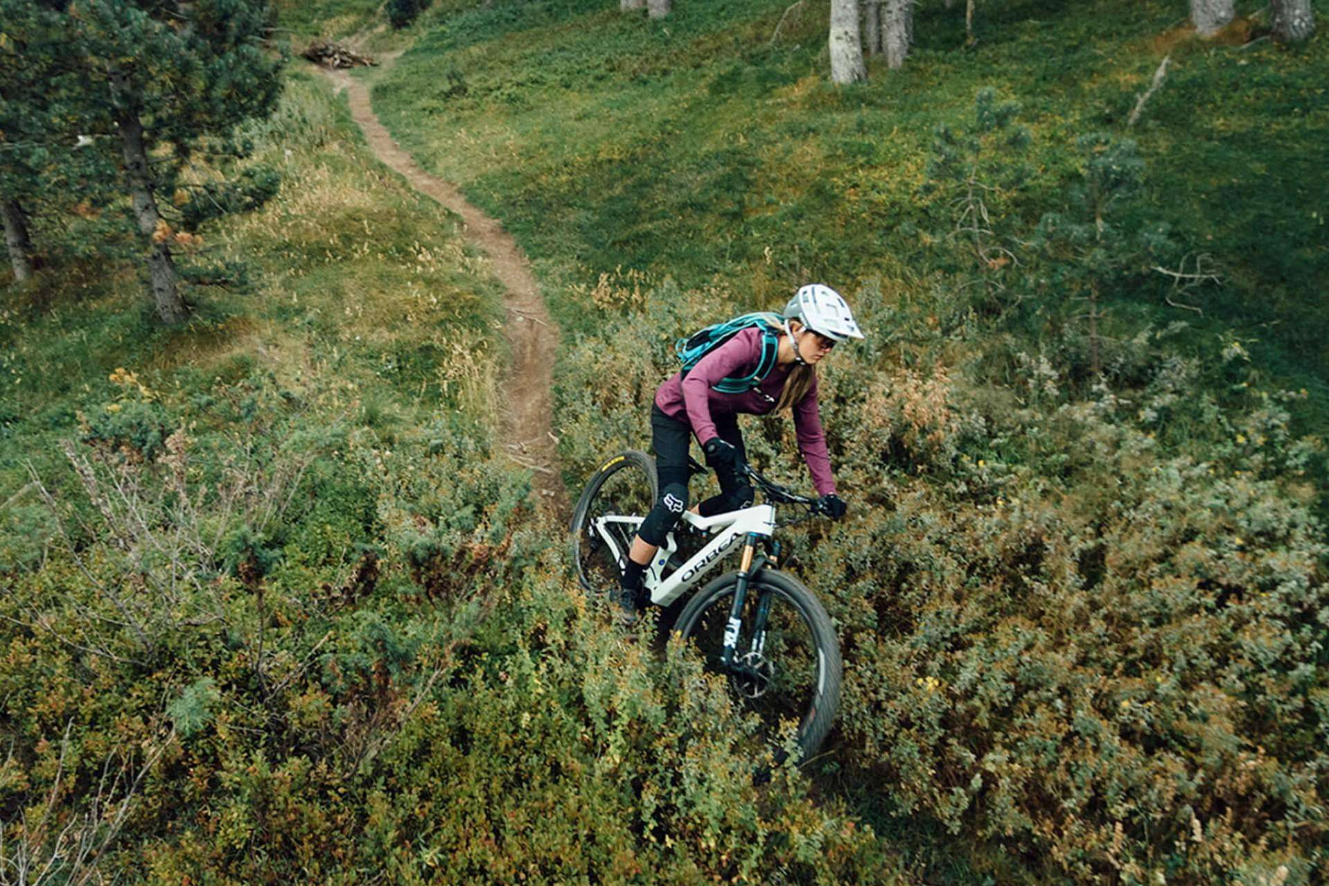 ¿Cuáles son los diferentes tipos de bicicletas eléctricas de montaña en Sanferbike?
