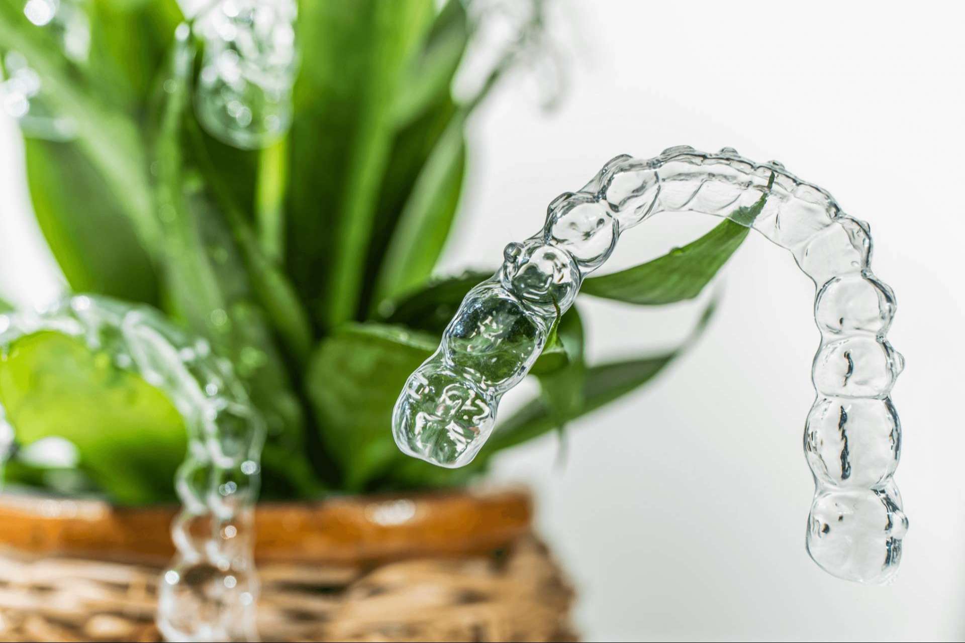 Presupuesto y diagnóstico previo de Invisalign, de la mano de Corporación Dental