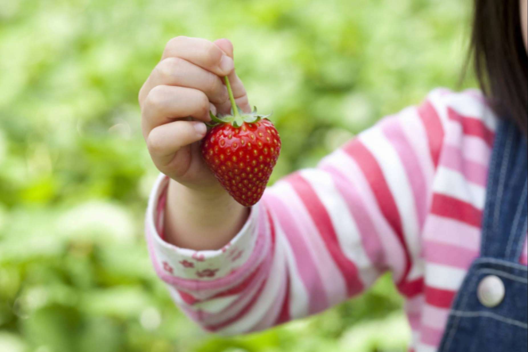 La clínica Alzenit sobre la relevancia de una buena nutrición infantil
