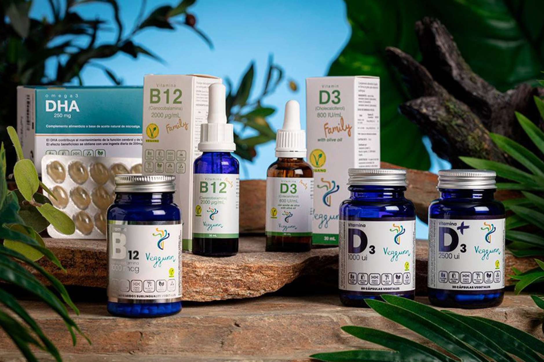 ¿Cuáles son los beneficios de la vitamina B12?, de la mano de Veggunn