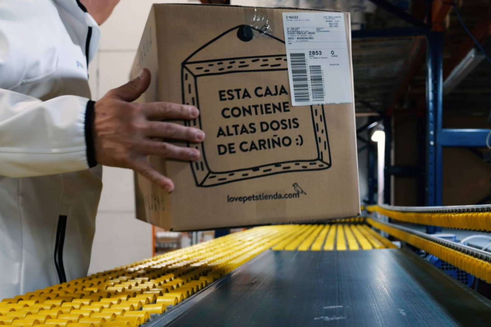 Los expertos de LovePets explican cuál es la alimentación adecuada para pequeños roedores
