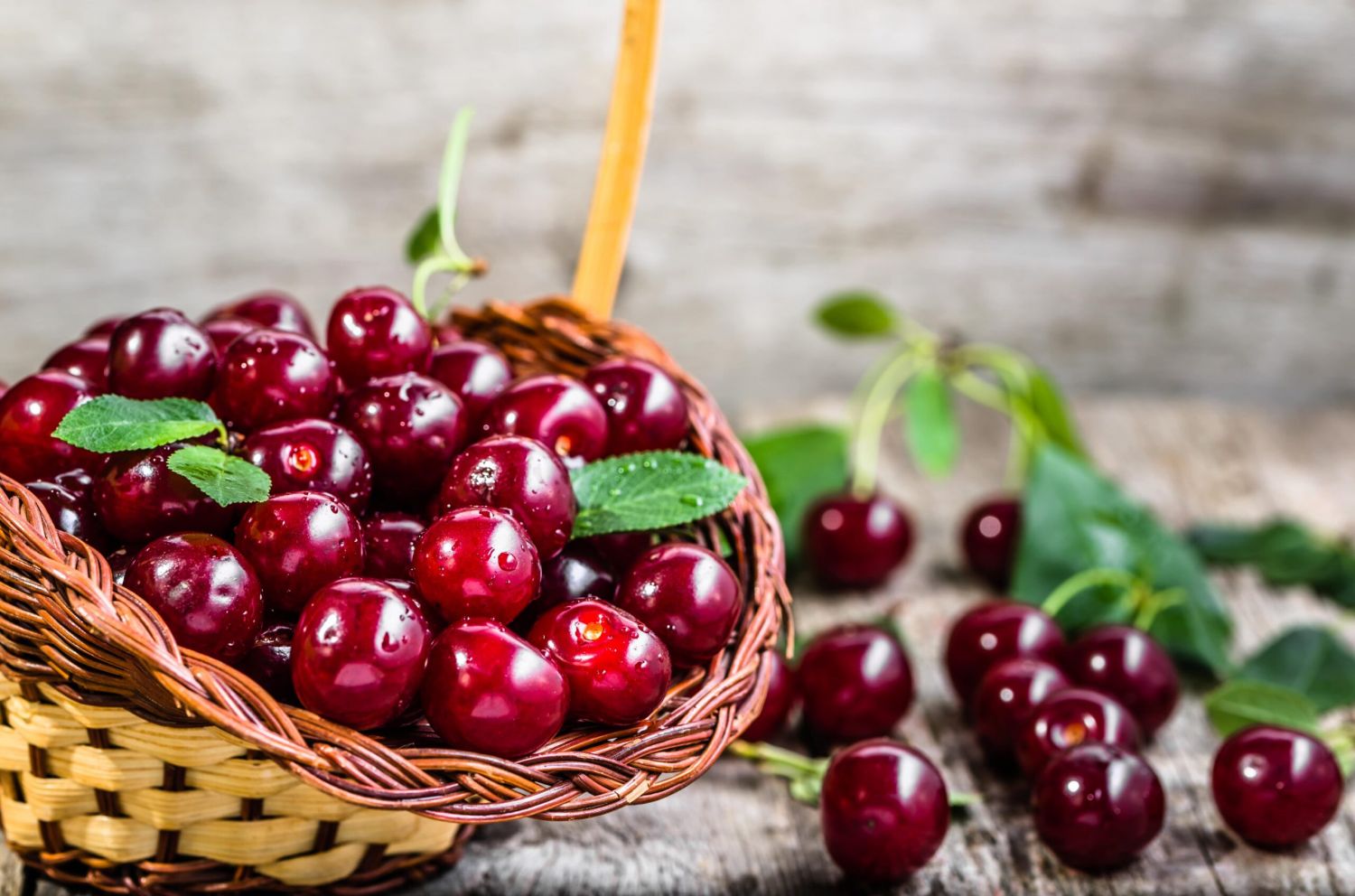 Cerezas o picotas: sus diferencias y recetas para sacarles partido