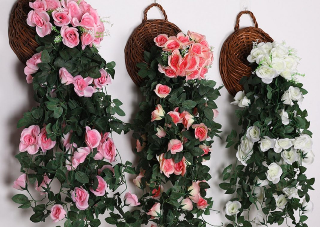 rosas colgantes