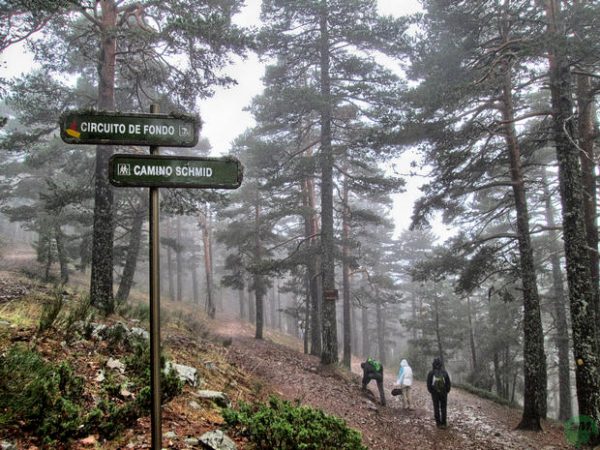 Las mejores rutas de senderismo para hacer en la Sierra de Madrid este verano  