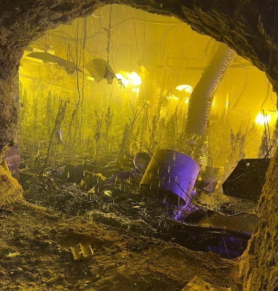 Endesa duplica desde 2018 los expedientes por fraude eléctrico en plantaciones de marihuana
