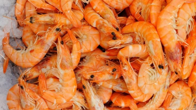 El secreto de Dani García para hacer unas tortillitas de camarones perfectas