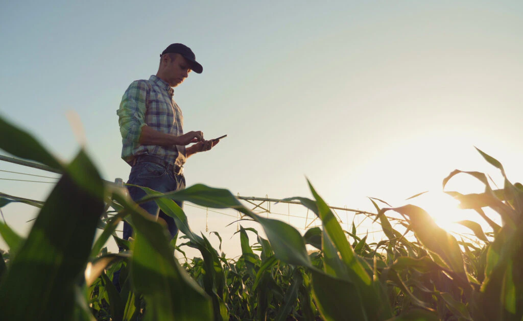 ‘Food Wars’: Fondos de inversión y socimis canibalizan terrenos agrícolas en España