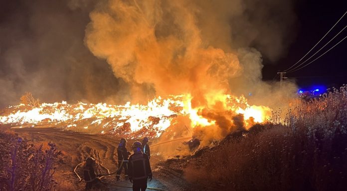 arde-energia-biomasa-crisis-gas