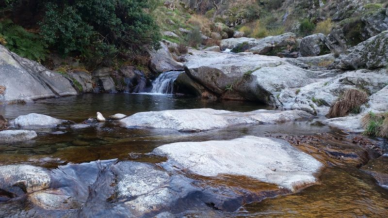 Piscina natural