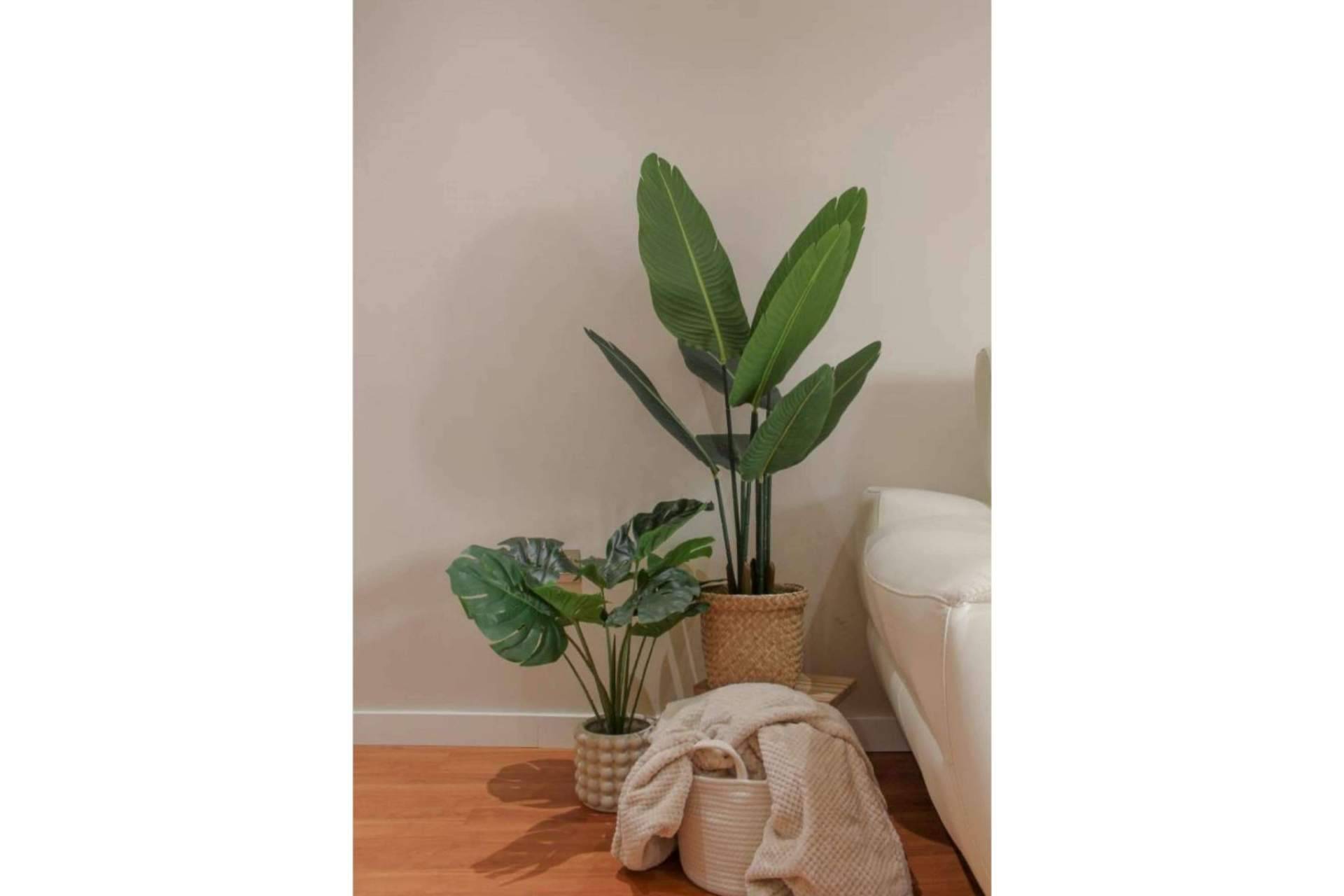 ¿Cuáles son los beneficios de optar por plantas artificiales?, de la mano de Zamyo