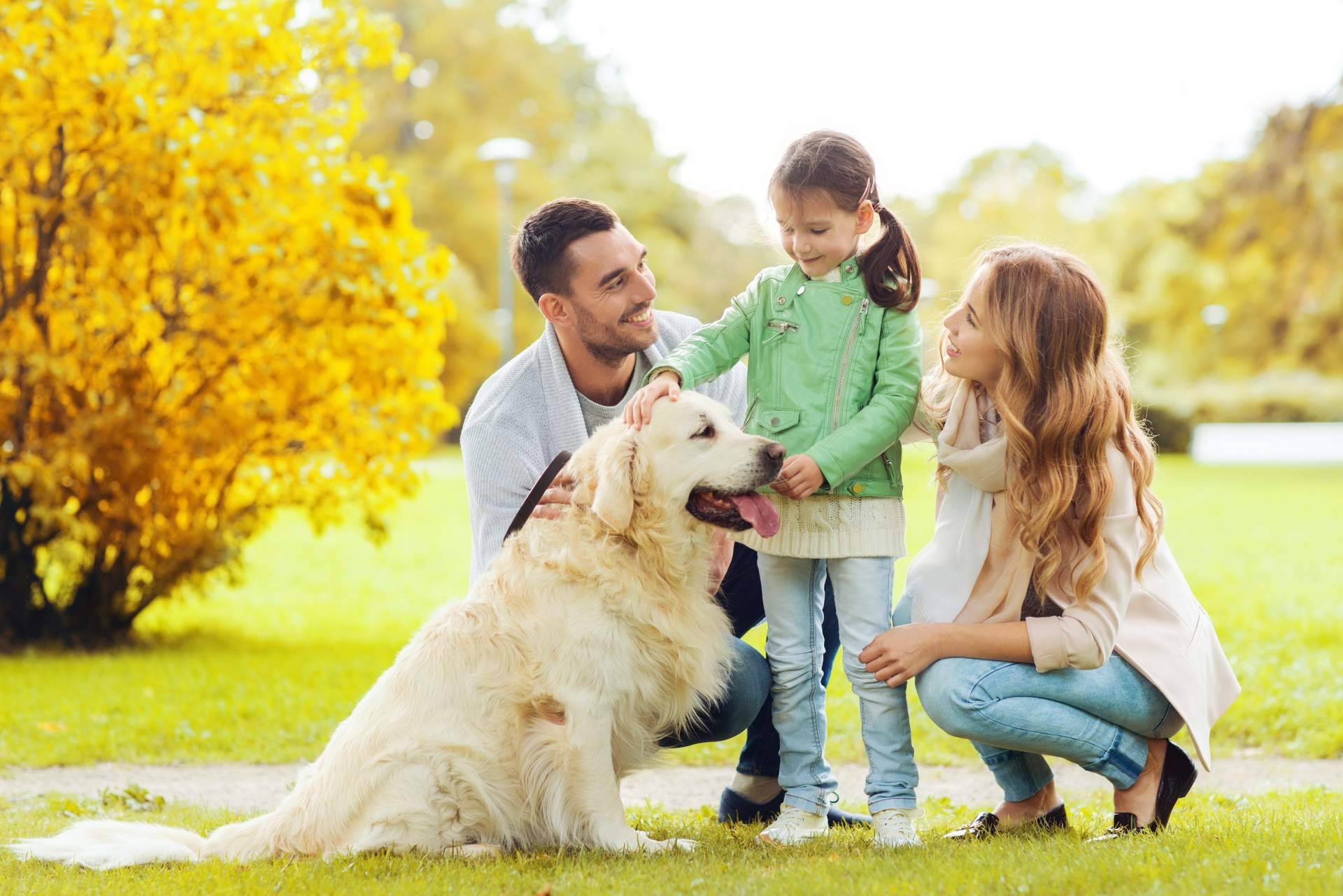 La ciencia descubre que para mejorar la convivencia con los animales de compañía es esencial entender su comportamiento