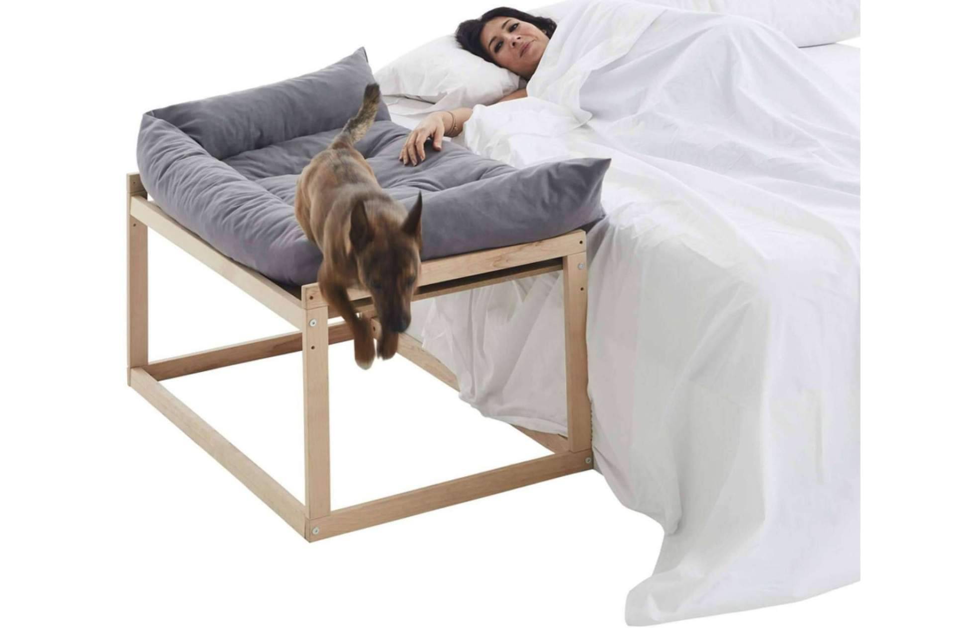 Camas colecho para perros, en Cool-Dreams