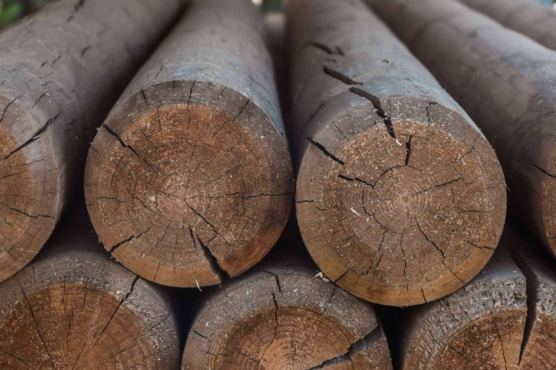 ¿Cuál es la mejor madera para los muebles?, por Maderas Gámez