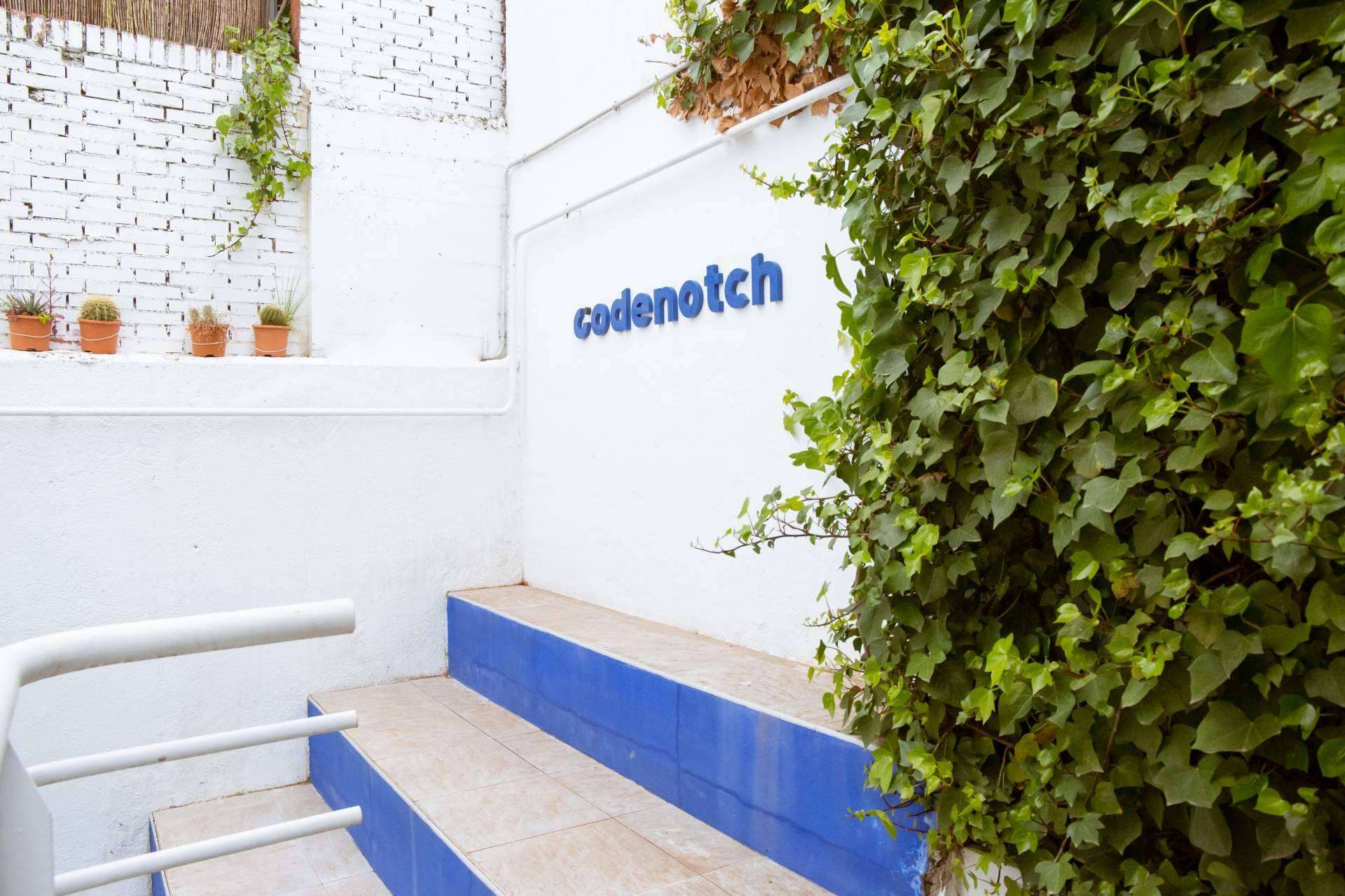Asistir a cursos intensivos de programación con Codenotch