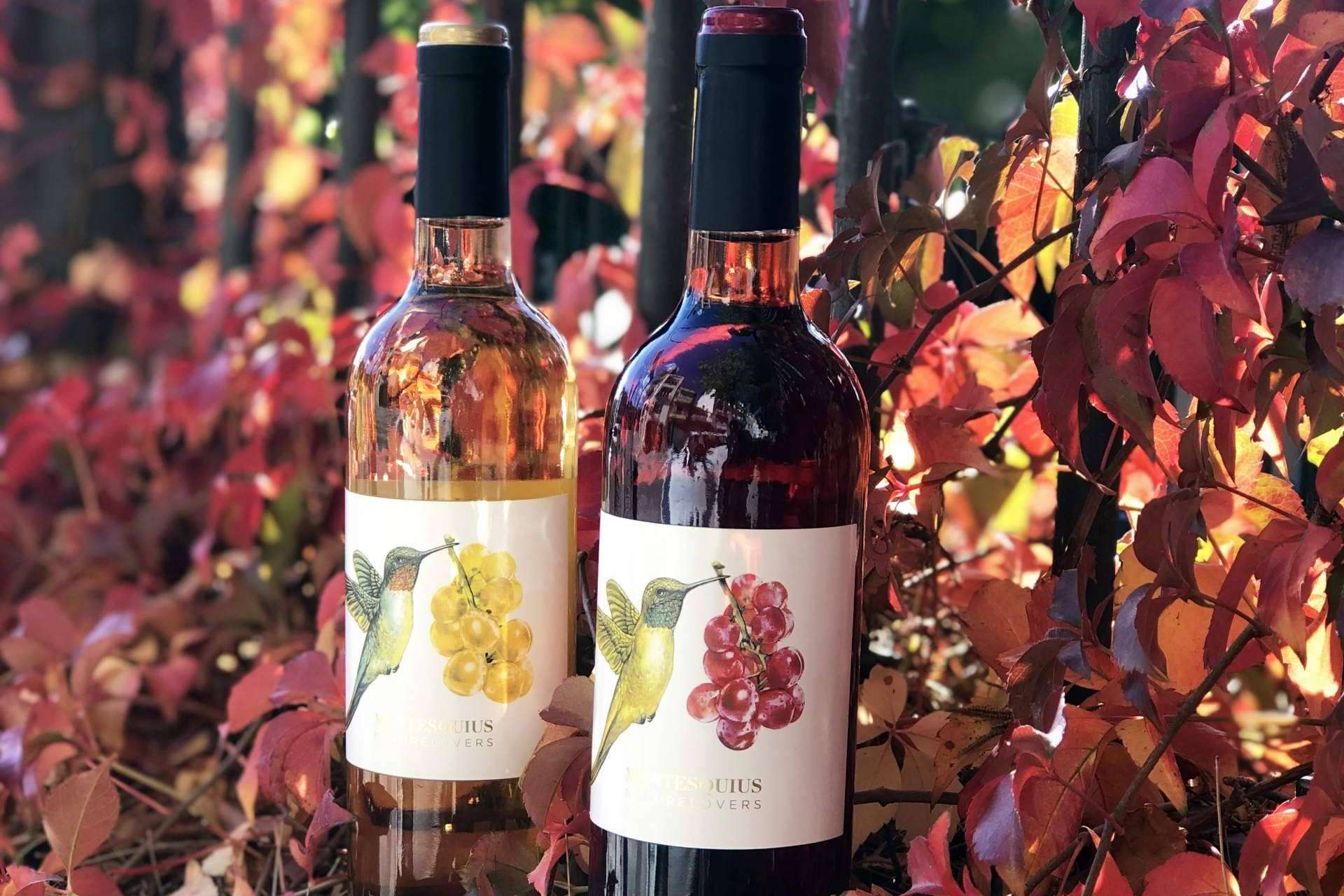 Naturelovers Wines, la tienda online de vinos y enoturismo