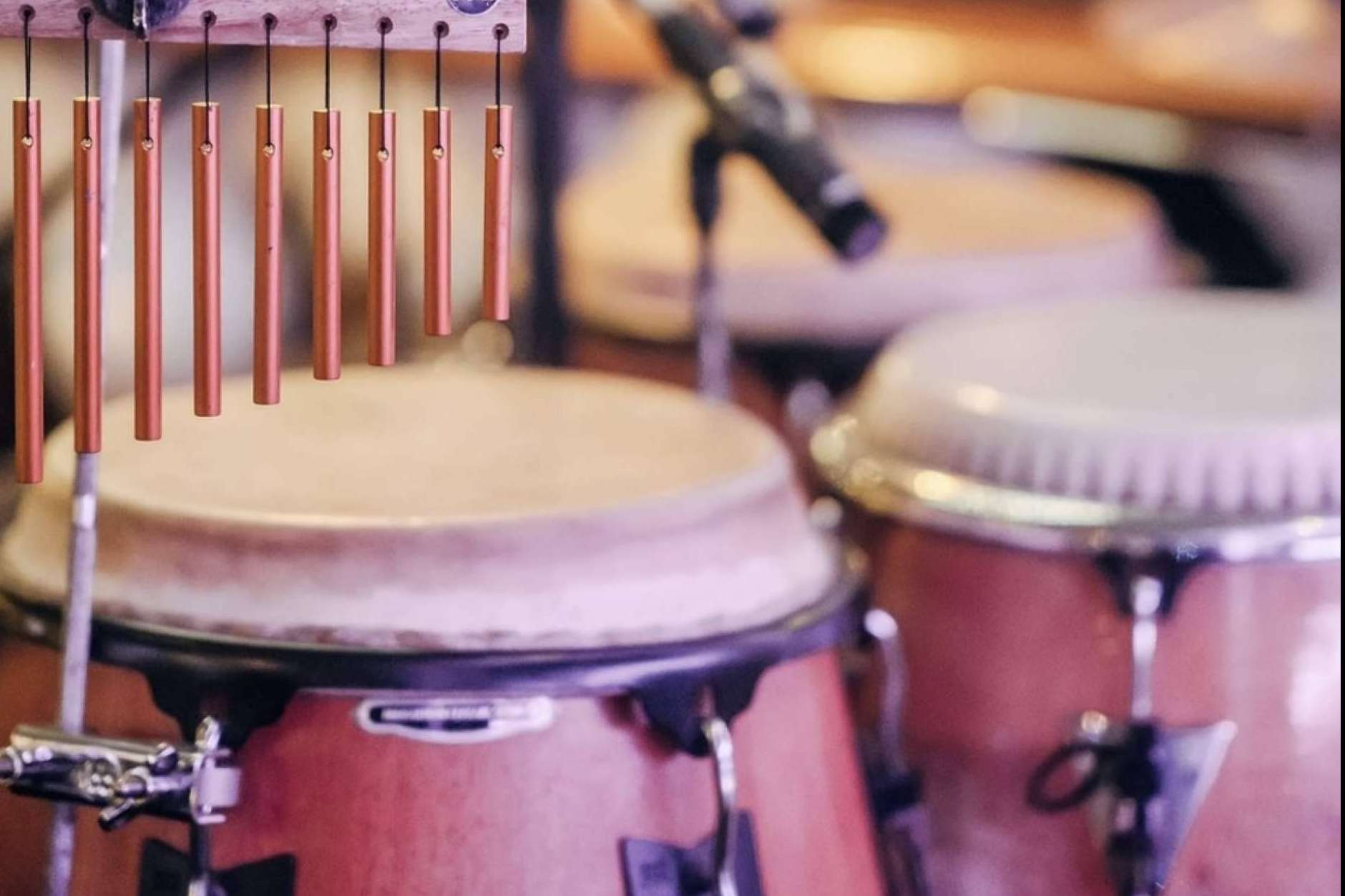 Vivir la experiencia de una cena y fiesta con Rumbita Barcelona
