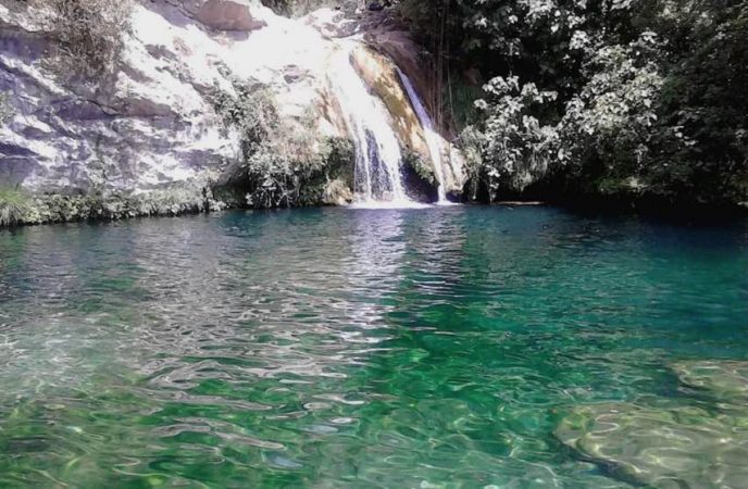 piscina natural Girona Merca2.es