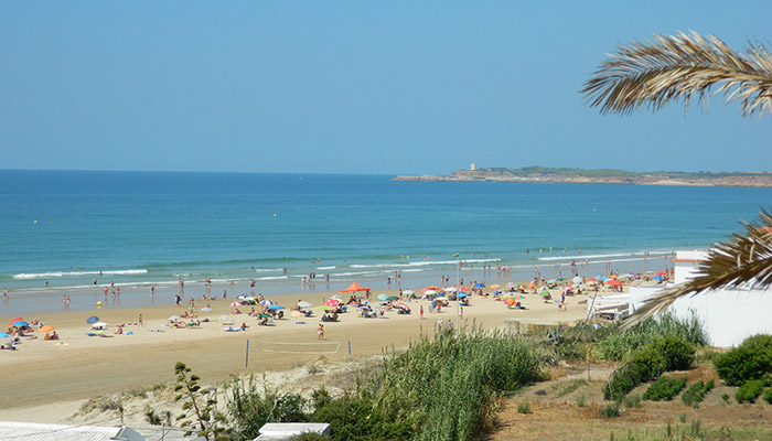 playa fontanilla Merca2.es