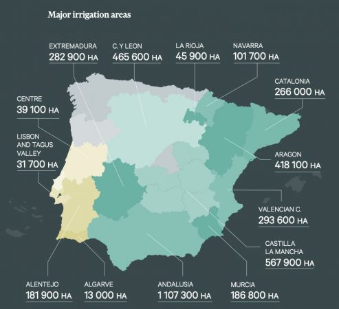 regadio cbre Merca2.es