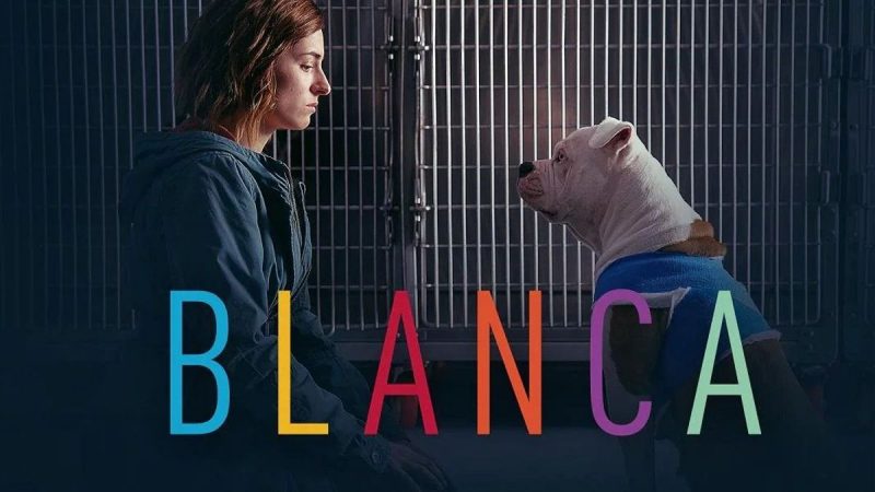 Blanca2 Merca2.es