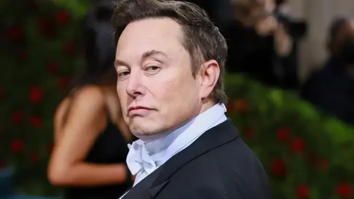 Elon Musk hunde a Tesla