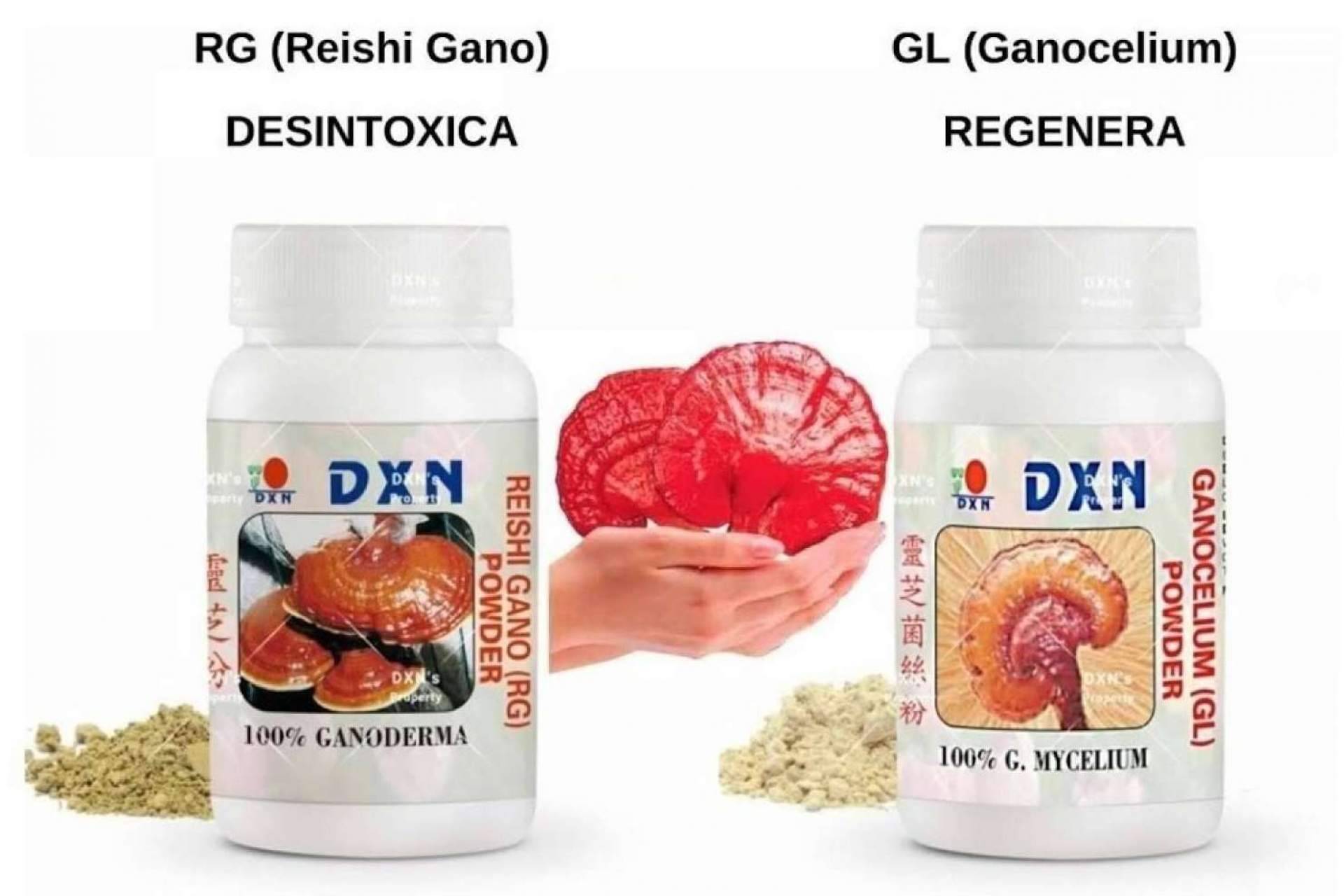 ¿Cuáles son las propiedades de Ganoderma Lucidum?, según La Tienda de Cristóbal