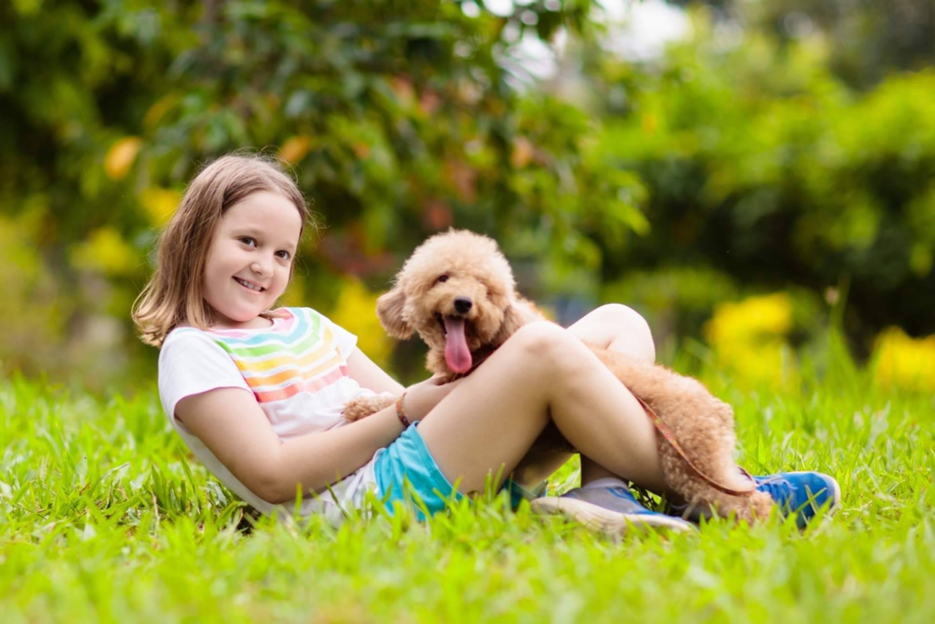 Diferencias entre adoptar y comprar perros, con Cachorros del Valle