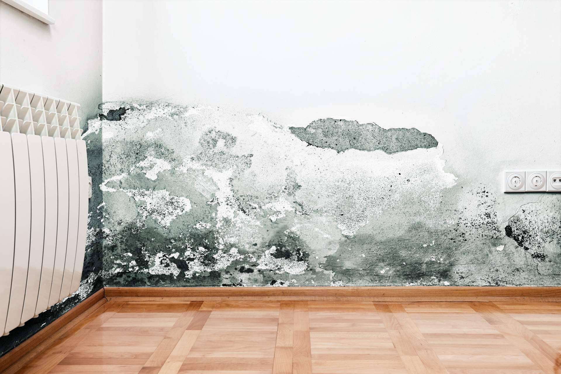 Acabar con las humedades en paredes gracias a Preactiva