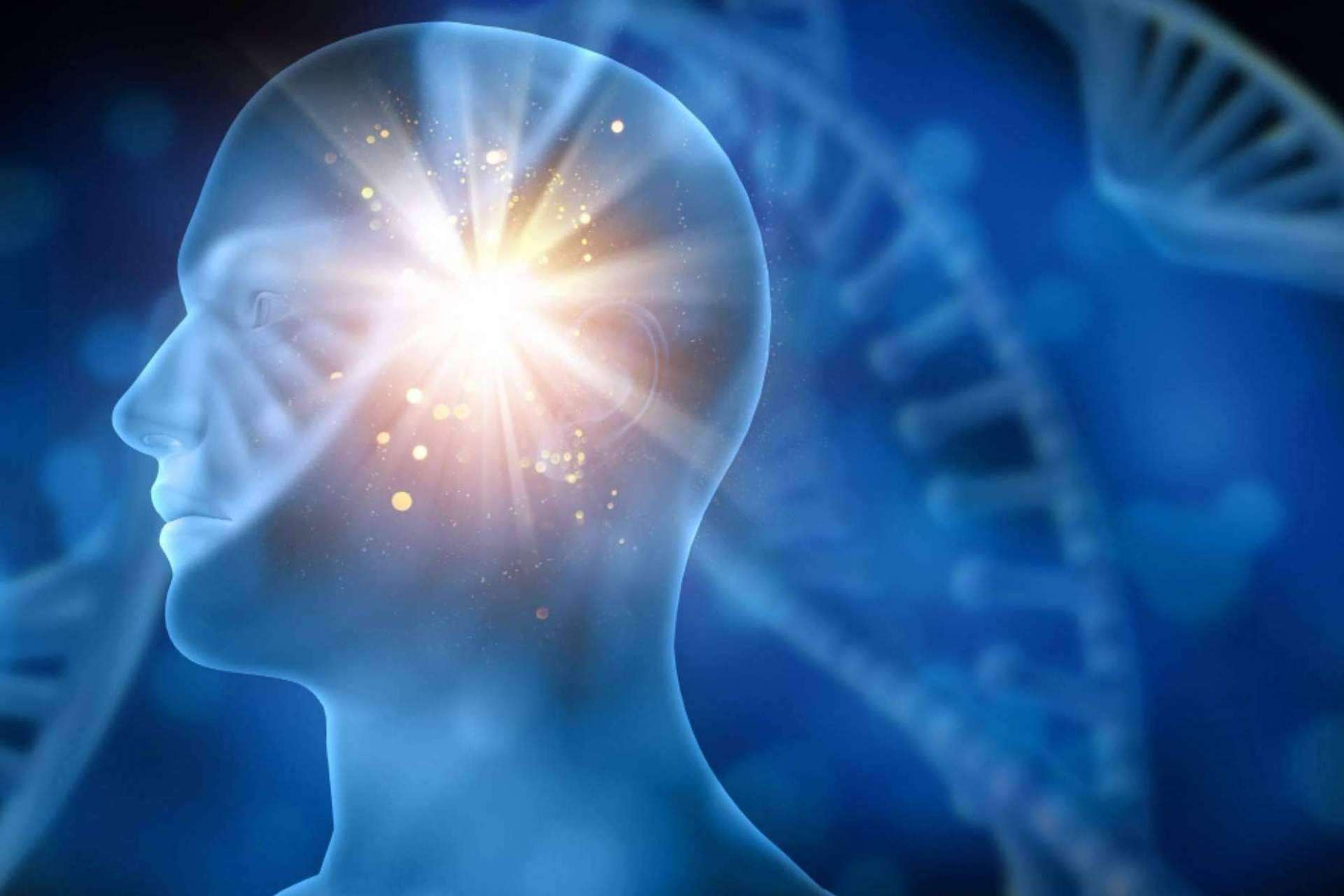 Las claves de la neurorrehabilitación, por INIMA Rehabilitación