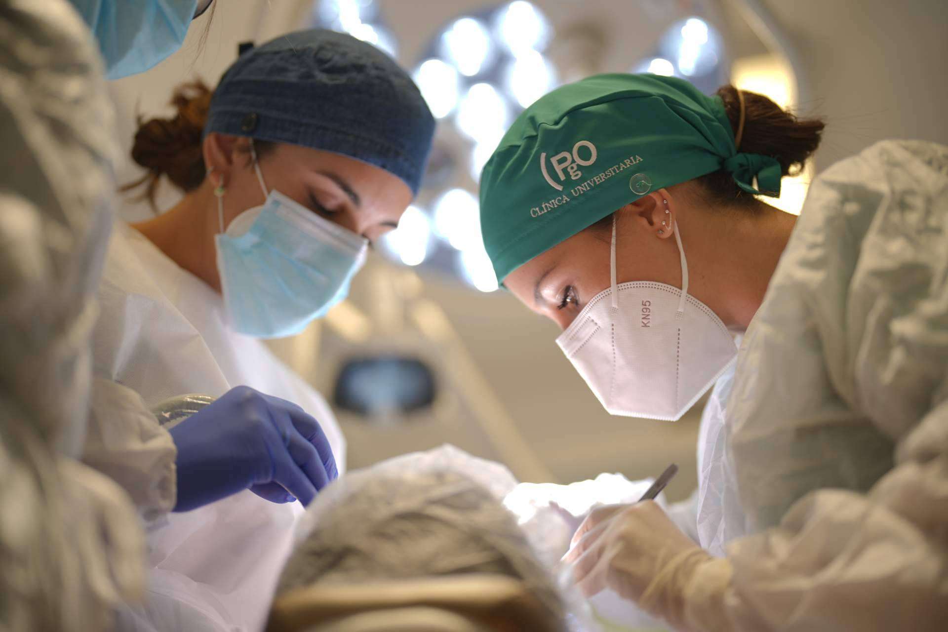 Los diferentes postgrados de odontología y cuál estudiar